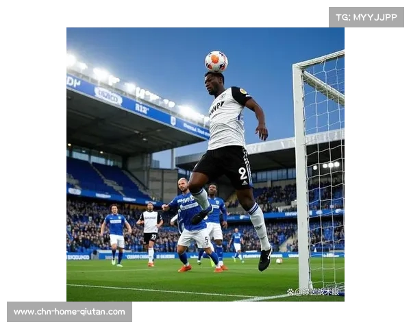 布莱顿，海边球队的英超传奇